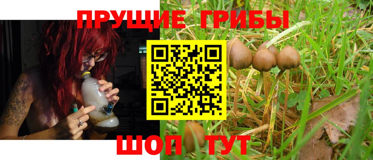 Чусовой  Псилоцибиновые грибы мицелий  Галлюциногенные грибы мицелий  Вход с VPN 